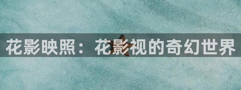 西瓜播放器在线电影天狼