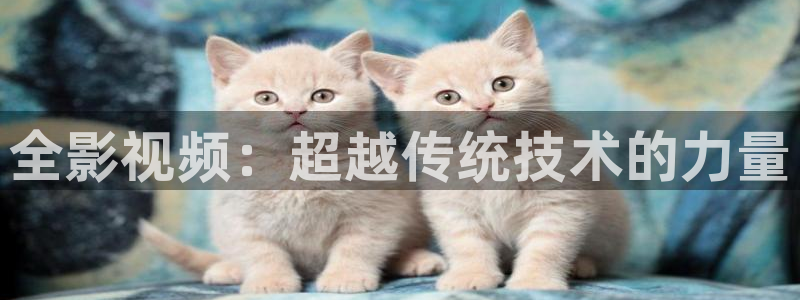 西瓜在线免费影视