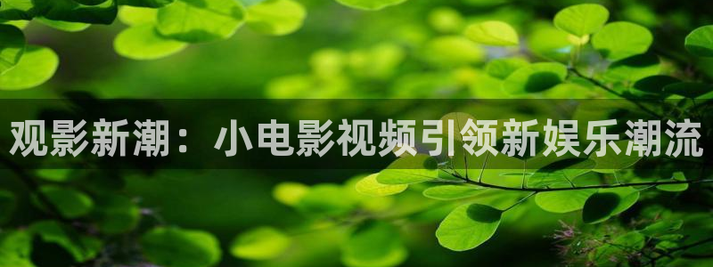 西瓜影院高清免费观看电视剧软件特