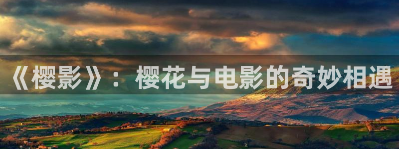 西瓜影院手机播放